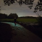 Van Gogh Bike Path-8