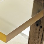 Wood Fossil Table-3