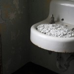 blossomaiweiwei-0