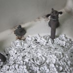blossomaiweiwei-1