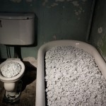 blossomaiweiwei-5