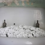 blossomaiweiwei-6