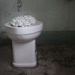 blossomaiweiwei-7