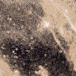 cosmicrugsandtowels-12