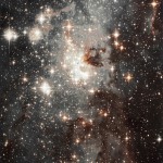 cosmicrugsandtowels-15