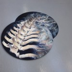 eleanorspanton-7