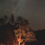 magnumsilentium-26