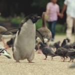 montythepenguin-3