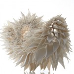 nuala-2