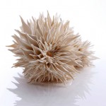nuala-3