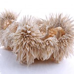 nuala-6