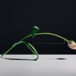 postures-1