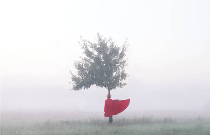 Maia Flore Photography
