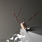 studiesfromspring-2
