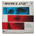 ty-mattson-homeland-01