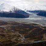 wildlifeyukon-13