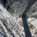 wildlifeyukon-15