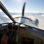wildlifeyukon-16