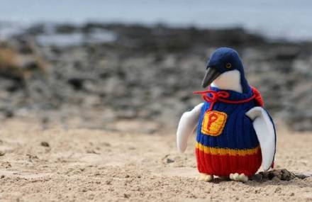 Tiny Cute Sweaters For Injured Penguins