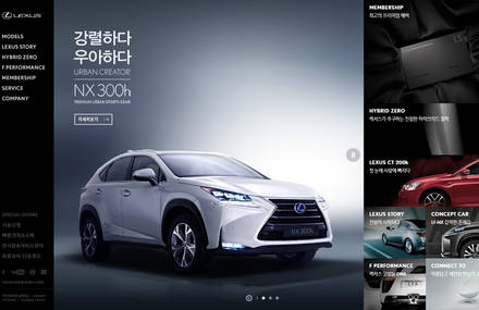 Lexus Korea Site Renewal