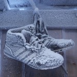 Summer shoes waiting out the winter in a shed in the suburbs.