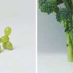 Everyday Object Composition_4