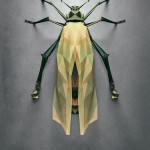 Fictitious Insects Illustrations-11