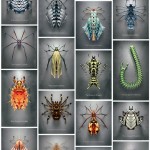 Fictitious Insects Illustrations-20
