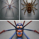 Fictitious Insects Illustrations-9