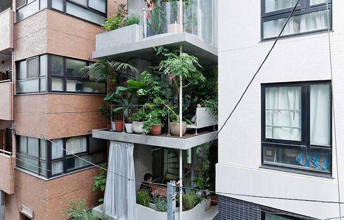 House with Growing Plants