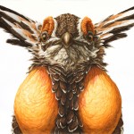 Hyperrealistic Animals Paintings_10