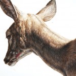 Hyperrealistic Animals Paintings_4