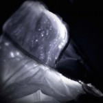 LED Coat by Nemen_2