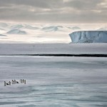 Melting Ice Photography_5
