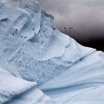 Melting Ice Photography_8