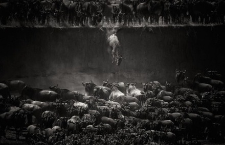 National Geographic Photo Contest 2014 Winners