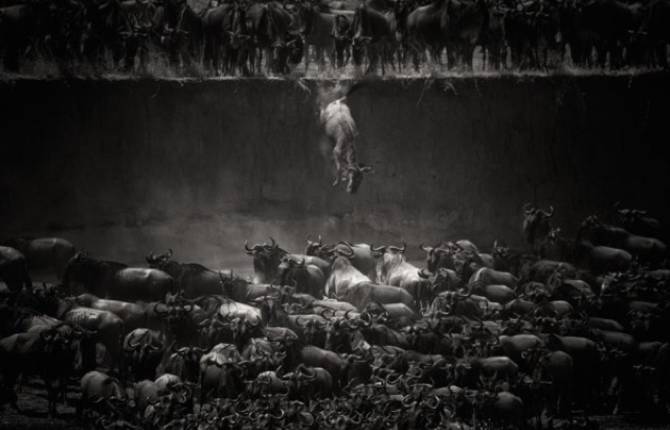National Geographic Photo Contest 2014 Winners