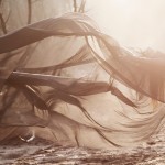 Surreal Nature Portraits -5