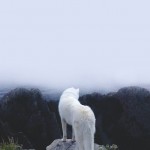 The Adventures of John & Wolf-10