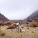 The Adventures of John & Wolf-5