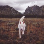 The Adventures of John & Wolf-7