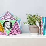 The Cat Box by Delphine Courier-0