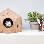 The Cat Box by Delphine Courier-1