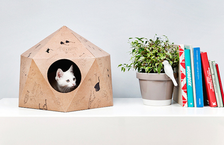 The Cat Box by Delphine Courier
