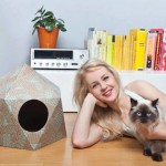 The Cat Box by Delphine Courier-10