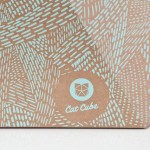 The Cat Box by Delphine Courier-11