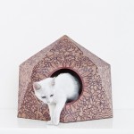 The Cat Box by Delphine Courier-13