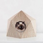 The Cat Box by Delphine Courier-15