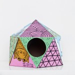The Cat Box by Delphine Courier-17