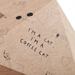 The Cat Box by Delphine Courier-2